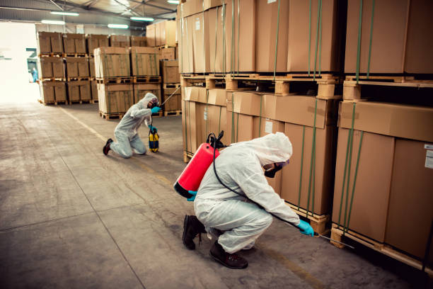 Best Pest Control Treatment  in Rainbow Springs, FL
