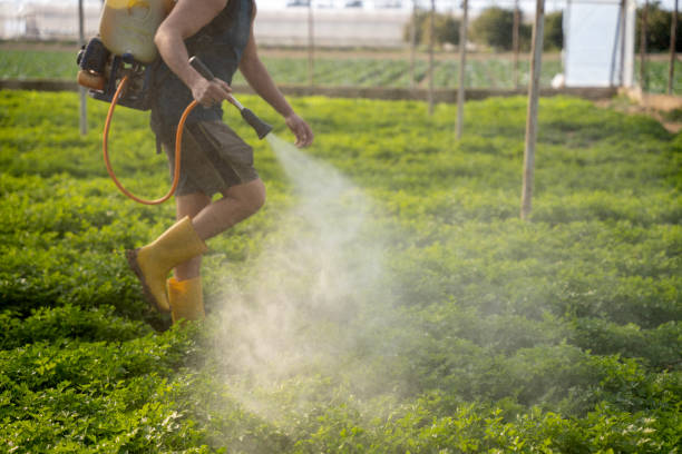 Best Best Pest Control Companies  in Rainbow Springs, FL