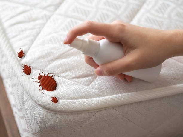 Best Pest Control for Businesses  in Rainbow Springs, FL