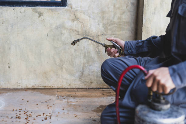 Best Pest Inspection Near Me  in Rainbow Springs, FL